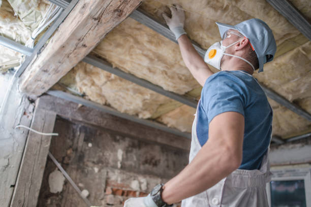 Best Geographic-Specific Insulation Services in Cadillac, MI