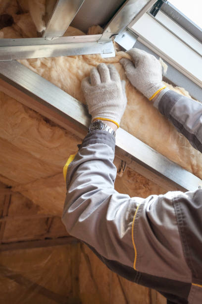 Best Insulation Maintenance and Repair in Cadillac, MI