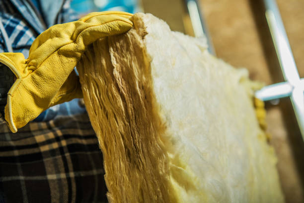 Best Insulation Maintenance and Repair in Cadillac, MI