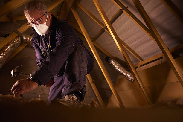 Best Residential Insulation in Cadillac, MI