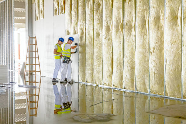 Professional Insulation Contractor in Cadillac, MI